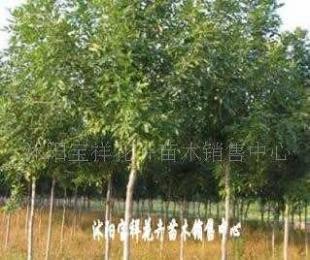 供應電線電纜填充用高檔麻線_紡織、皮革_世界工廠網中國產品信息庫